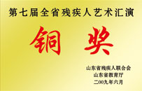 第七屆全國(guó)殘疾人藝術(shù)匯演銅獎(jiǎng)